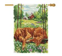 Bandiere per casa del cane Spring Irish Setter 71 x 101 cm su entrambi i lati per esterni, altalena per fattoria, cucciolo di lino, bandiera per la casa, divertente bandiera per la casa del cortile