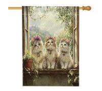 Bandiere per casa del gatto persiano primaverile, 71 x 101 cm, double face, per esterni, piante in vaso, gattino, bandiera verticale standard per la casa, divertente bandiera per la casa in cortile
