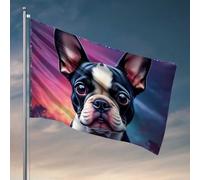Bandiere per dormitorio con bulldog francese in una galassia colorata bandiera palestra uomo Cabe Decor (120 x 180 cm)