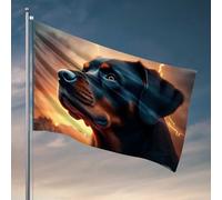 Bandiere per dormitorio con tramonto dorato con un tocco di magia, bandiera da palestra, decorazione per cabe (60 x 90 cm)