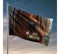 Bandiere per dormitorio universitario relax, fare un respiro profondo e godersi il momento. Bandiera ornamenti da cortile all'aperto roba fresca per la tua stanza (120 x 180 cm)