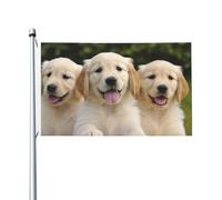 Bandiere per esterni Golden Retriever Cuccioli 0,9 x 1,5 m, bandiera stagionale da giardino con occhielli bandiera esterna per decorazioni per la casa sfondo fotografico