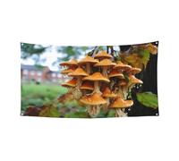 Bandiere per feste di asparagi, decorazioni per esterni e interni, durevoli e resistenti ai raggi UV, perfette per compleanni, Halloween e molto altro ancora