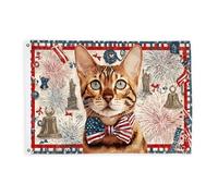 Bandiere per gatti per esterni, statua patriottica festiva fuochi d'artificio per il giorno dell'indipendenza bandiere rosse con corda striscione resistente allo sbiadimento decorazione per esterni