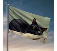 Bandiere per i ragazzi, un gatto nero con occhi verdi sorprendenti poggia su una morbida coperta. Bandiera per camera da letto decorazione per uomo roba fresca per la tua stanza (30 x 45 cm)