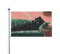 Bandiere per la casa da cortile con gatto nero su velluto verde, 9,1 x 1,5 m, striscione di auguri con occhielli per interni ed esterni, decorazioni per la casa