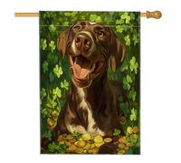 Bandiere per la casa del cane con puntatore tedesco a pelo corto per il giorno di San Patrizio, 71 x 101 cm, double face, per esterni, con cucciolo di trifoglio, bandiera verticale per la casa