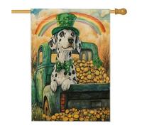 Bandiere per la casa del cane dalmata per il giorno di San Patrizio, 71 x 101 cm, double face, per esterni, fattoria, camion, cuccioli, bandiere verticali standard per la casa, decorazione arcobaleno