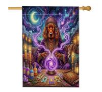 Bandiere per la casa del cane di Halloween Witch Irish Setter 71 x 101 cm su entrambi i lati per esterni, cucciolo strega tarocchi spaventosi tarocchi verticale tela per la casa, bandiera spettrale