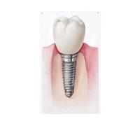 Bandiere per la casa del cortile dell'impianto dentale, striscione di auguri stagionale con occhielli per interni ed esterni, decorazioni per la casa