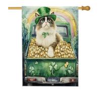 Bandiere per la casa del gatto Ragdoll per il giorno di San Patrizio, 71 x 101 cm, double face per esterni, fattoria, camion, gattino, bandiere verticali standard per la casa, decorazione arcobaleno