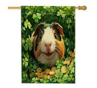 Bandiere per la casa di San Patrizio con porcellini d'India, 71 x 101 cm, double face, per esterni, divertente motivo trifoglio, stampa verticale su tela, bandiera per casa, quadrifoglio, campagna