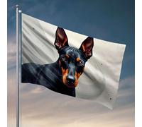 Bandiere per la stanza dei ragazzi Un cane nero e marrone chiaro con sorprendenti segni arancioni sul viso. Bandiera universitaria bandiere per dormitorio per camera ragazzi divertenti (30 x 45 cm)
