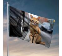 Bandiere per la stanza dei ragazzi Un gatto zenzero seduto su un marciapiede città. Bandiera da giardino bandiere invernali decorazioni esterne per patio (60 x 90 cm)