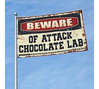 Bandiere per ragazzi, con scritta "Beware Of Attack", per laboratorio, cioccolato, decorazione per cortile, divertente, decorazione per la casa (30 x 45 cm)