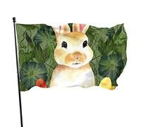 Bandiere Pirata Cute Easter Bunny Resistente Ai Raggi Uv Bannière Coutures Doubles Garden Flag Per Giardino Home Eventi 90X150Cm