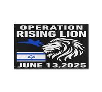 Bandiere Pirata Il Leone Nascente Dell'Esercito Israeliano Colore Vivido Garden Flag Resistente Ai Raggi Uv Bandiera Per Eventi Raduni Bar 3X5Ft