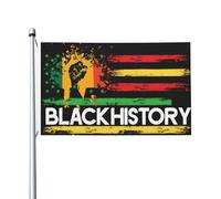 Bandiere Pirata Mese Della Storia Dei Neri Colore Vivido Garden Flag Poliestere Bannière Per Eventi Conferenza Giardino 3X5Ft