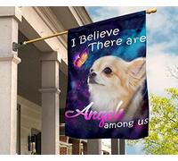 Bandiere Pirati Deluxe Bandiera Da Cortile Durevole Bandiere All'Aperto Decorazione Per Patio Cortile Fattoria Chihuahua Carino E Farfalle Credo Che Ci Siano Angeli S