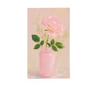 Bandiere rosa pastello rosa in barattolo per la casa, 3 x 1,5 m, striscione di auguri con occhielli per interni ed esterni, decorazioni per la casa per feste