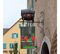 Bandiere rosse dell'iarda parteggiate del doppio della bandiera del giardino della stampa degli uccelli svegli