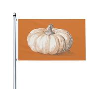 Bandiere vintage con schizzo di una zucca per la casa, 9 x 1,5 m, striscione di auguri con occhielli per interni ed esterni, decorazioni per la casa