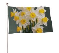 Bandierina con foto di narcisi, 152,4 x 243,8 cm, stampa su entrambi i lati, bandiera decorativa da giardino, non sbiadisce, con occhielli in ottone, sfondo fotografico da appendere per interni ed