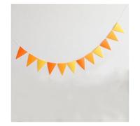 Bandierine Colorate 1 Pack, Colorful Triangle Flags - Multicolor Pennant For Home, Weddings, Parties(Color-3)