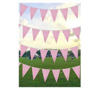 Bandierine Colorate 33 Feet Green Pennant Bunting Solid Triangle Flags String For Festival Wedding Birthday(Color 10)
