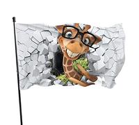 Bandierine con giraffa che fa capolino da un muro rotto, 9 x 1,5 m, striscione decorativo per casa, casa, esterno, interno, festa