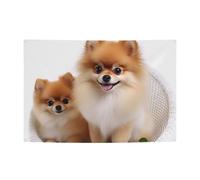 Bandierine personalizzate per feste di compleanno con occhielli in ottone carino pomerania bandiera da giardino decorazioni per cortile banner decorazioni per feste di compleanno sfondo per Natale