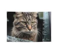 Bandierine personalizzate per feste di compleanno con occhielli in ottone Gatto distrugge il vetro in auto Bandiera da giardino Decorazioni per feste di compleanno Sfondo per Natale Matrimonio Festa