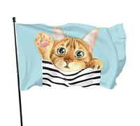 Bandierine tascabili con gatto in strisce, 9 x 1,5 m, striscione decorativo per casa, esterno, interno, festa