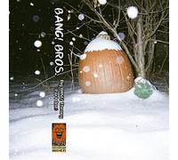 Bang Bros. - Big Bang Theory (Part One)