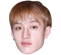 Bang Chan (Earrings) Big Head