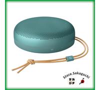 Bang & Olufsen Beosound A1 Altoparlante Bluetooth di 3a Generazione...