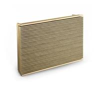 Bang & Olufsen Beosound Level - Altoparlante Bluetooth wireless portatile, Wi-Fi, impermeabile e resistente alla polvere, 16 ore di autonomia, certificato Cradle to Cradle, per interni ed esterni -Oro