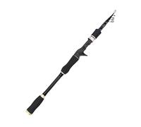 BANGHA Canna da Pesca,Canna da Pesca Spinning Asta secondaria Retrattile a Sezione Corta, Impugnatura Diritta a Lancio Lungo, Canna da Pesca Portatile in Carbonio da 2,7 m(38)