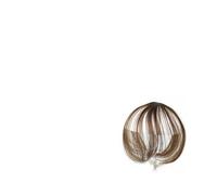 Bangs Hair Frangia sintetica 3D invisibile senza cuciture for capelli, frangia aerea sopra la testa, naturale invisibile, aumenta il volume dei capelli(Light brown)