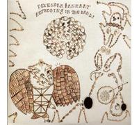 BANHART, DEVENDRA - REJOICING IN THE HANDS
