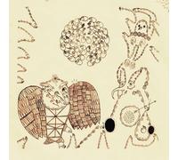 Banhart, Devendra - Rejoicing In The Hands/Nino Rojo