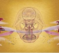 Banhart Devendra - What Will We Be