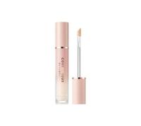 BANILA CO - Covericious Power Fit Concealer - 4 Colors #17 Fair