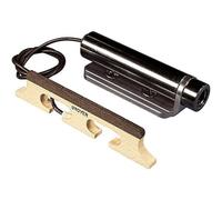 Banjo di L. R. Baggs