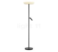 Bankamp Cielo Lampada da terra LED 2 fuochi, antracite opaco