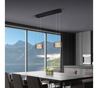 Bankamp Grand Flex Lampada a sospensione LED 2 fuochi, nero anodizzato/vetro Groove - ø20 cm