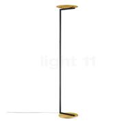 Bankamp Pure Up Lampada a stelo LED