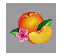 Bankrupt! (2CD Deluxe Edition)