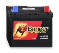 Banner 53030 Bull 895 bull-batteria OEM di alta qualità