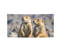 Banner Banner per interni ed esterni cartello personalizzato Due cani della prateria Banner per feste Segni riutilizzabili Cartello vuoto 300D Poliestere Decorazione Banner per la decorazione del